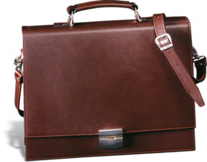 tasna ceo kapak horizontalna 425
